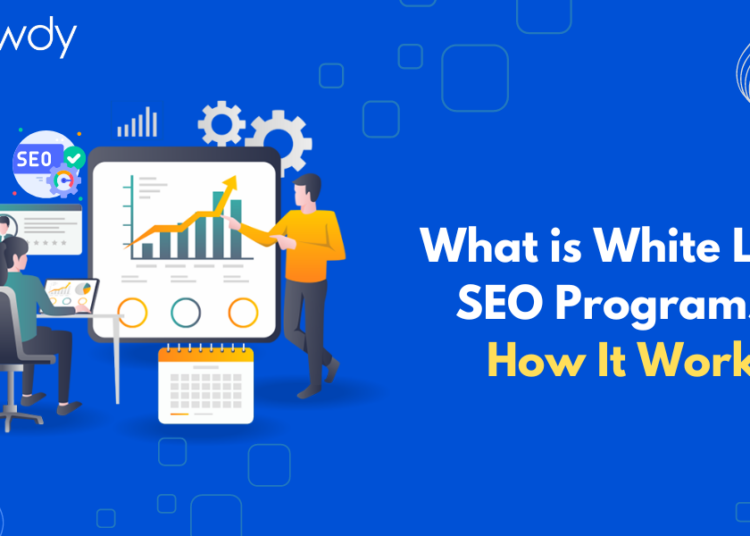 White-level-seo-program